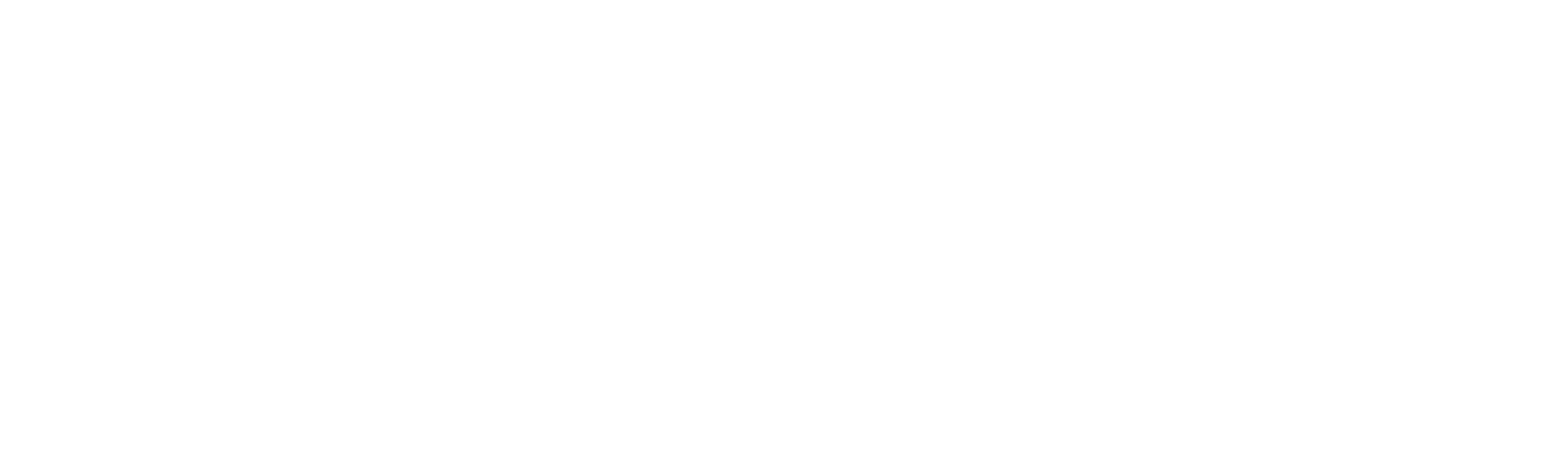 SparkGen